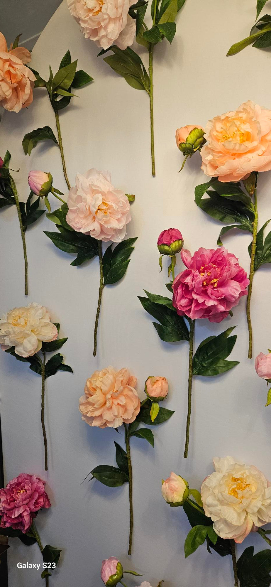 The Bloom Bar Backdrop